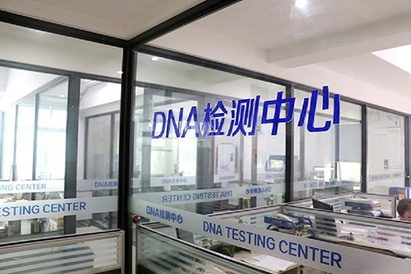 连云港头发可以用来做DNA鉴定吗（详解头发样本在学中的应用） 